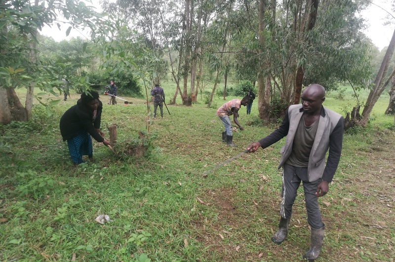 Some of the locals while clearing the bush in Oguzu's Barifa CFR site on Wednesday