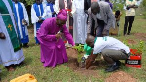 Bishop Collins Andaku planting a tree as a sign of stewardship in Aringa yesterday