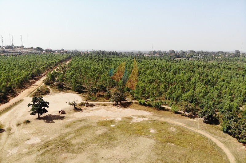 Barifa forest reserve which Muni University is eyeing for expansion