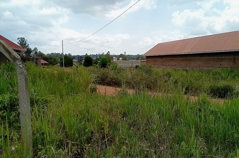 Some of the structures in Ayibiri cell which are at risk of demolition if the demolition order is effected. Photo Credit; Andrew Cohen Amvesi