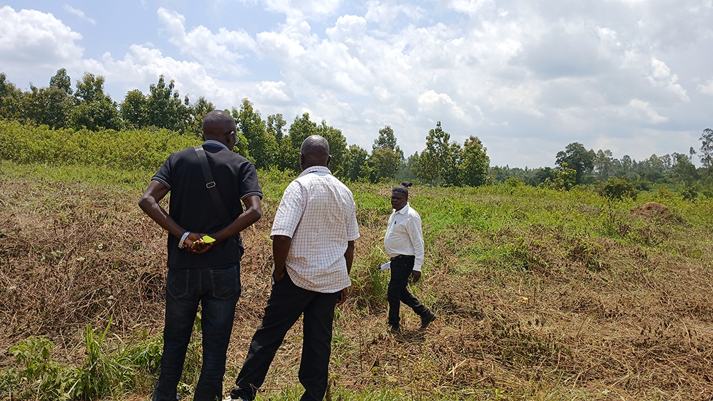 The local leaders inspecting the new livestock market in Kati ward, Ayivu West