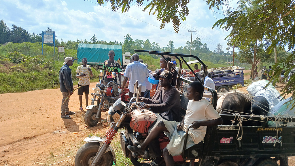 Tri-cycles parked with livestock to be transported to Congo