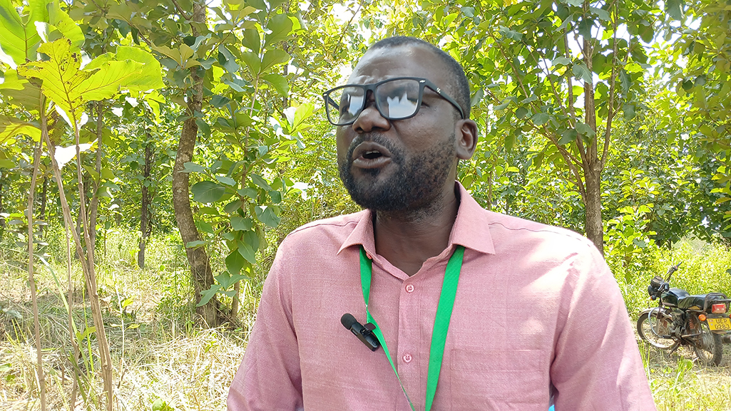The chairperson West Nile Livestock Traders Association, Patrick Okiror, explaining how the market came up. Photo by Matata Benzamin