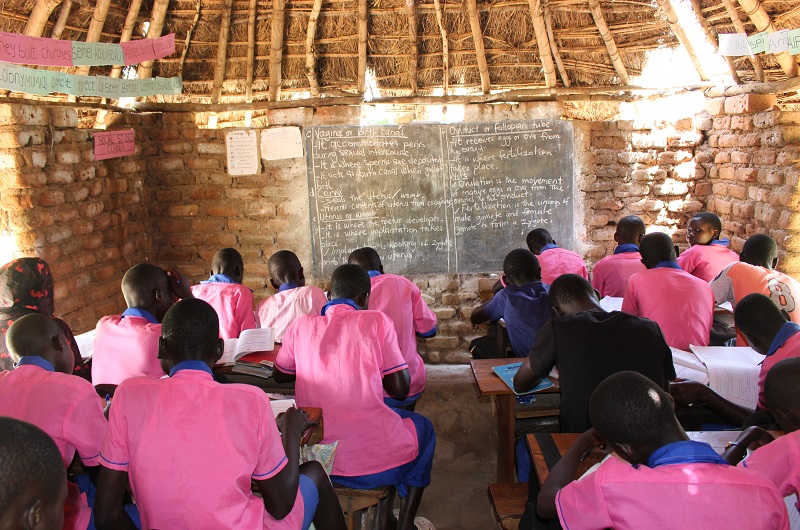 P.6 pupils of Alwala primary school in Nebbi district studying in a dilapidated grass thatched hut early this week.