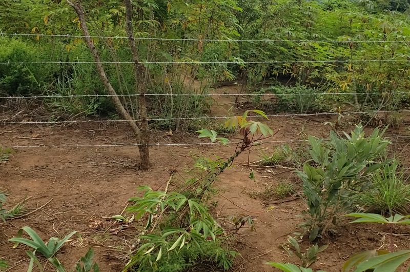 Part of the contested land which was allegedly fenced off by Kamure